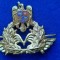 INSIGNA EMBLEMA CUC COIFURA CHIPIU