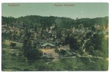 4364 - BUSTENARI, Prahova, Oil Wells, Romania - old postcard - unused, Necirculata, Printata