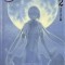 Claymore, Volume 2