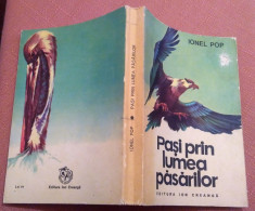 Pasi prin lumea pasarilor - Ionel Pop ( prima coperta are o mica gaura) foto