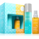 Revlon Professional Equave Hydro Instant Set set cadou pentru păr 1 buc