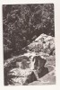 RF67 -Carte Postala- Putna, Chilia lui Daniil Sihastru , necirculata