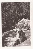 RF67 -Carte Postala- Putna, Chilia lui Daniil Sihastru , necirculata