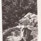 RF67 -Carte Postala- Putna, Chilia lui Daniil Sihastru , necirculata