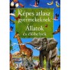 K&eacute;pes atlasz gyermekeknek - &Aacute;llatok &eacute;s &eacute;lőhelyek - &Aacute;llatok &eacute;s &eacute;lőhelyek - Francisco Arredondo