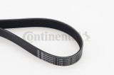 CONTINENTAL CTAM 7PK1165 Curea transmisie cu caneluri