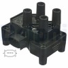 DELPHI CE20044-12B1 bobina de inductie