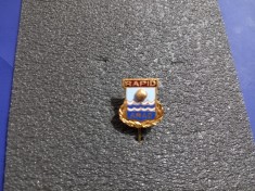 Insigna Rapid Arad foto