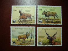 MALI SERIE FAUNA foto