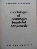 Morfologia Si Patologia Tesutului Conjunctiv - M. Ifrim I. Capusan ,523772, Medicala