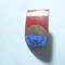 Insigna IMAGREX CIMA Romania, metal si email , h=2,2 cm Romania