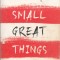 AS - JODI PICOULT - SMALL GREAT THINGS
