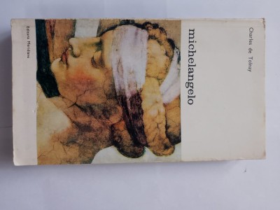 Charles de tolnay-michelangelo foto