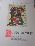 CUVANTUL VIETII PR DR PETRU IOAN ILEA