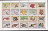 Fujeira 1972 fauna marina MI 1019-1038 + bl.108 MNH, Nestampilat