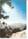 @ carte postala(ilustrata)-VEDERE DIN BUCEGI