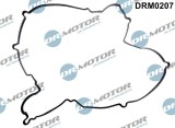 Garnitura, Capac Supape 265207 DRM0207