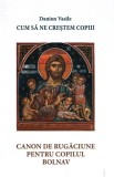 Cum să ne creștem copiii - Paperback brosat - Danion Vasile - Areopag