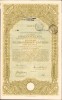 HST A653 Bon de stat austro-ungar la purtător 1917 cu ștampile rom&acirc;nești