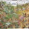 MEXIC FAUNA ( bloc dantelat format mare ) MNH