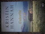 Culorile vietii Kristin Hannah