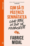 Cum să-ți păstrezi seninătatea c&acirc;nd totul &icirc;n jur se prăbușește - Paperback brosat - Curtea Veche