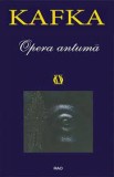 Kafka - Opera antuma, Nemira