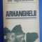 myh 544 - ION AGARBICEANU - ARHANGHELII - ED 1972