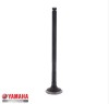 Supapa evacuare originala Yamaha MT 125 (14-19) - X-City 125 (08-16) - WR 125 (09-17) - X-Max (06-20) - YZF-R 125 (08-18)