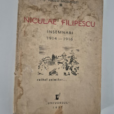 Carte veche 1937 N Polizu Micsunesti Niculai Filipescu Insemnari 1914-1916