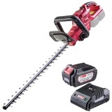 Raider RDP-SCHT20 + RDP-R20 - Masina de tuns gard viu 51 cm + Set 1 acumulator si incarcator Li-Ion 20 V 4 Ah