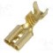 Terminal tip plat, pentru surub {{Orificiu pentru &amp;#351;urub}}, IMP - 2670.05.00.9