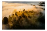 Tablou Canvas, "Visul pădurii &icirc;nvăluite de ceață", Mister, Lumină, Ceață, Pădure, V&acirc;rfuri, Umbre, Natură, Peisaj, Aur, Cer, Vedere, Aeriană, Calm, Fru