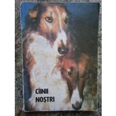 CAINII NOSTRI , BULETIN DOCUMENTAR , NR 2 , ANUL AL VIII-LEA - NICOLESCU