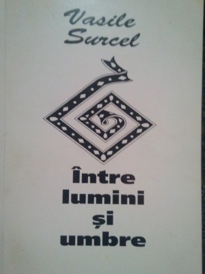 Vasile Surcel - Intre lumini si umbre (semnata) foto