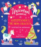 Cumpara ieftin Unicornul fermecat. Asteptandu-l pe Mos Craciun. Activitati de sarbatoare