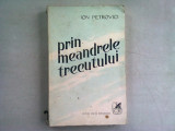 Prin meandrele trecutului , Ion Petrovici , 1979