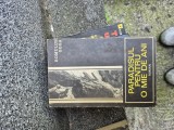 Paradisul pentru o mie de ani vintage