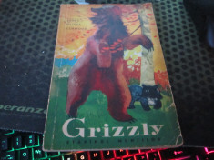 grizzly b 1 foto
