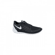 Pantofi Sport Nike WMNS NIKE FREE 5.0