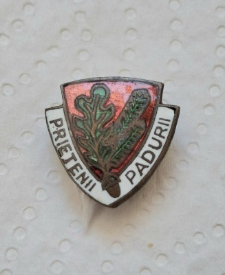 Insigna Prietenii Padurii foto