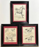 Set 3 Tablouri Toader Schipor 1954 cu Cai, grafica in tuș, &icirc;nrămate 25x30cm