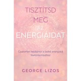 Tiszt&iacute;tsd meg az energi&aacute;idat - Gyakorlati k&eacute;zik&ouml;nyv a belső energi&aacute;id tiszt&aacute;ntart&aacute;s&aacute;hoz - George Lizos