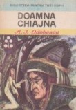 Doamna Chiajna