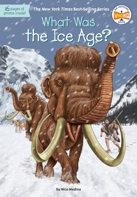 What Was the Ice Age? foto