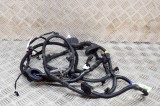 Cablaj ușă dreapta spate TESLA MODEL 3 2022 OEM: 2067966-00-B,1489051-01-D 20320201
