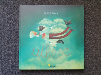 UIBESC - Iv cel Naiv foto