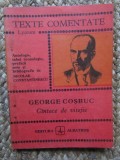 George Cosbuc - Cantece de vitejie