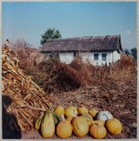 Gospodarie din Romania// fotografie de presa anii &#039;90-2000, Romania 1900 - 1950, Portrete