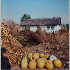 Gospodarie din Romania// fotografie de presa anii '90-2000